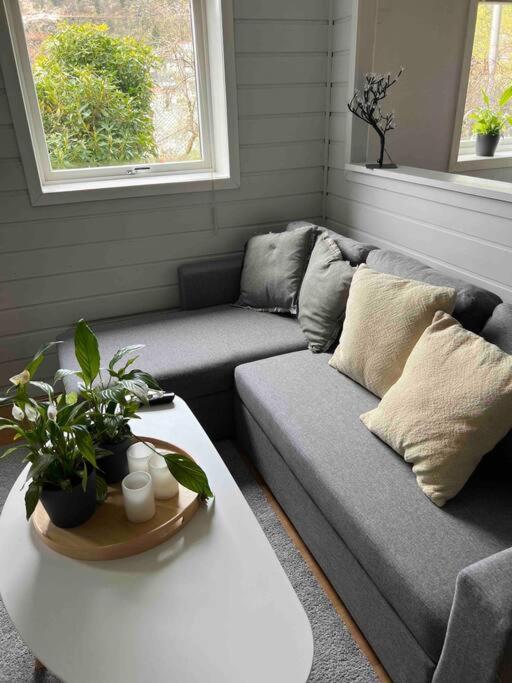 Cosy Apartment With Free Parking Bergen Exteriör bild